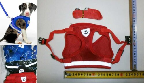 PRETAL PARA MASCOTAS TALLE L